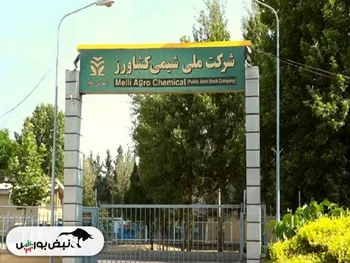 کدال شملی | برای سرمایه گذاری مناسب است؟