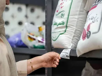 قیمت جدید انواع برنج ایرانی و خارجی در بازار