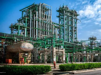 جم پیلن در ۶ ماه چقدر سود داد؟