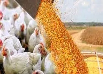 درآمد 9 میلیارد تومانی  غدام  