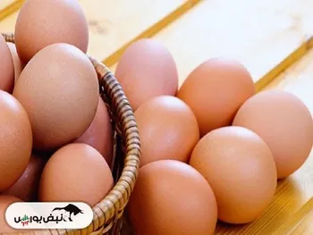 قیمت تخم‌مرغ تا پایان سال تغییر نخواهد کرد