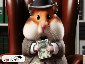 کارت‌های همستر امروز ۱۲ شهریور + آموزش وارد کردن