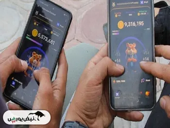 قیمت همستر کامبت امروز پنجشنبه ۱۴۰۳/۰۵/۱۱