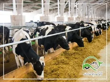 افزایش سرمایه زگلدشت به کجا رسید؟