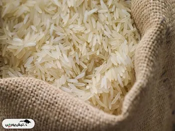 قیمت جدید برنج ایرانی در بازار