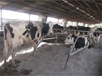 دلیل توقف تلیسه چیست؟