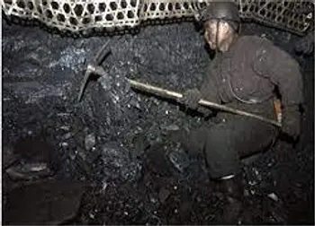 نتایج مزایده کزغال مشخص شد