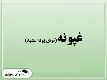 کدال غپونه | آیا درعملکرد ۱ ماهه افت داشت؟