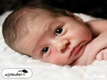 متولدین ۱۴۰۱ سهامدار می‌شوند! | جزئیات کامل را اینجا بخوانید! + فیلم