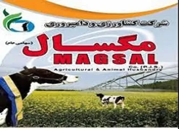 دلیل توقف زمگسا چیست؟