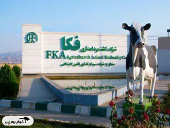 افشای اطلاعات باعث توقف این نماد شد