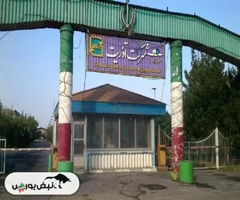 خرید‌های این دو کد حقیقی در ساذری | بزرگترین سهامدار ساذری کیست؟