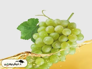 کدال قشهد | طی ۳ ماه چقدر درآمد داشت؟