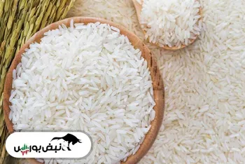 برنج ایرانی چند درصد گران شد؟