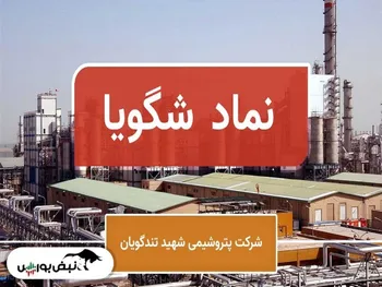 تحلیل شگویا امروز ۸ مرداد ۱۴۰۱ | حمایت مهم شگویا کجاست؟