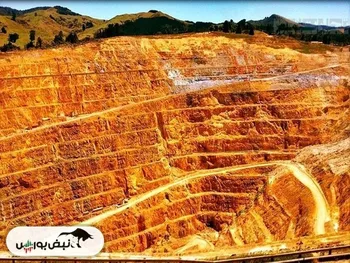 خبرهای طلایی برای سهامداران تاصیکو | اولین شمش طلا کی تولید می شود؟