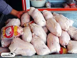 قیمت گوشت مرغ، امروز ۲۶ فروردین ۱۴۰۴