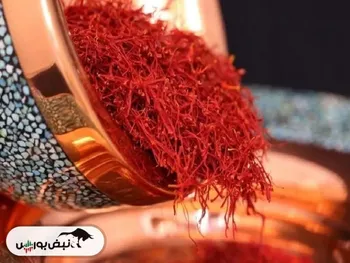 کاهش ۱۰۰ درصدی صادرات زعفران ایران نسبت به سال گذشته
