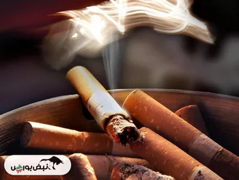 دخانیات هم سرطان‌زاست، هم پرونده‌ساز