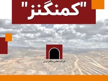 افشای اطلاعات در این نماد