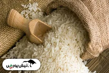 چرا برنج ایرانی گران شده است؟