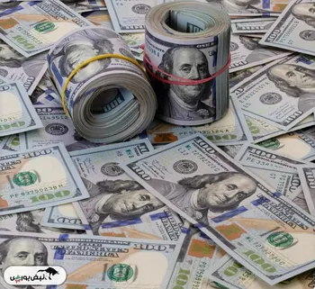 رشد چراغ خاموش قیمت دلار رسمی