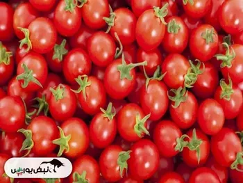 قیمت گوجه فرنگی گلخانه‌ای چند؟