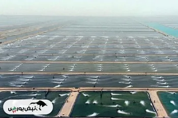 همکاری در تدوین سند توسعه دریامحور دستور کار سال ۱۴۰۳