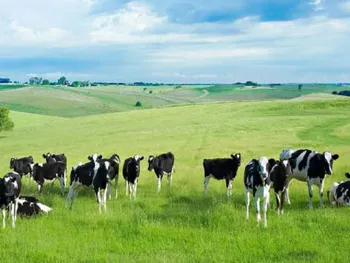 توقف این نماد به علت افزایش بیش از ۵۰ درصد