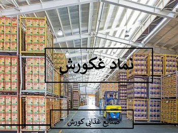 سهامداران غکورش بخوانند | بررسی سناریوهای مختلف برای صعود نماد غکورش
