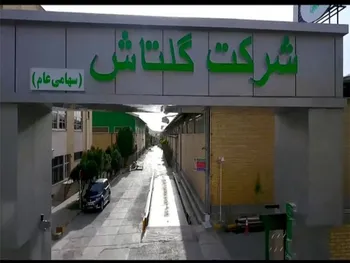 شگل در ۶ ماه چقدر زیان داشت؟