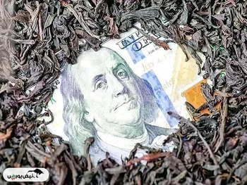 آخرین وضعیت پرونده چای دبش