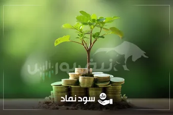 سود ۴۳ شرکت به حساب دو میلیون سهام‌دار واریز شد| سود کدام نمادها واریز شد؟