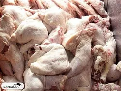 قیمت گوشت مرغ، امروز ۲۸ فروردین ۱۴۰۴