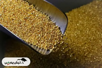 قیمت جهانی طلا از دلار جلو زد