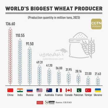 چین، هند و روسیه بزرگترین تولید‌کنندگان گندم جهان هستند