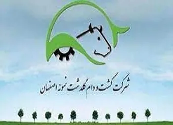 تعیین سود ۲۰۸۷ ریالی برای این نماد