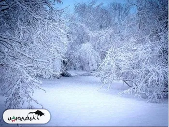 بارش شدید برف و باران در ۴ استان کشور؛ برای مواجه با کولاک و سیل آماده باشد