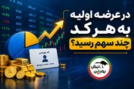 در عرضه اولیه شکیمیا به هر کد چند سهم رسید؟