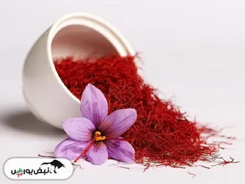 ۵۵ کشور مقصد زعفران ایرانی