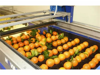 افشای اطلاعات باعث توقف این نماد شد