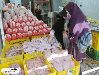قیمت مرغ بازهم بالاتر می‌پرد؟