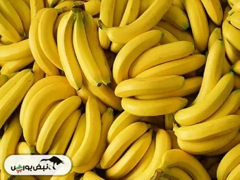 علت گرانی موز فاش شد