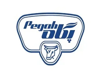 سود هر سهم  غگلستا  ۲۹ درصد کاهش داشت