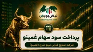 سود غمینو ۱۴۰۵ کی واریز می‌شود و چقدر است؟