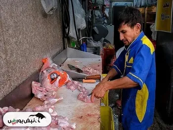 قیمت مرغ امروز پنجشنبه ۲۳ بهمن ۱۴۰۴