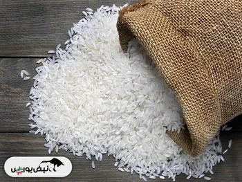 کیسه ۱۰ کیلویی برنج درجه یک پاکستانی چند؟