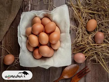 مشکلی در تامین تخم مرغ شب عید و ماه رمضان نداریم