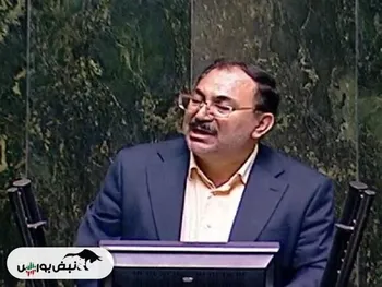 پاک‌مهر: استیضاح وزیر اقتصاد جناحی و سیاسی نیست