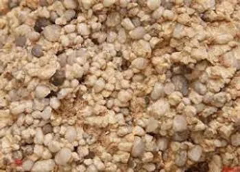 بازگشایی پس از۶۰ دقیقه در این نماد